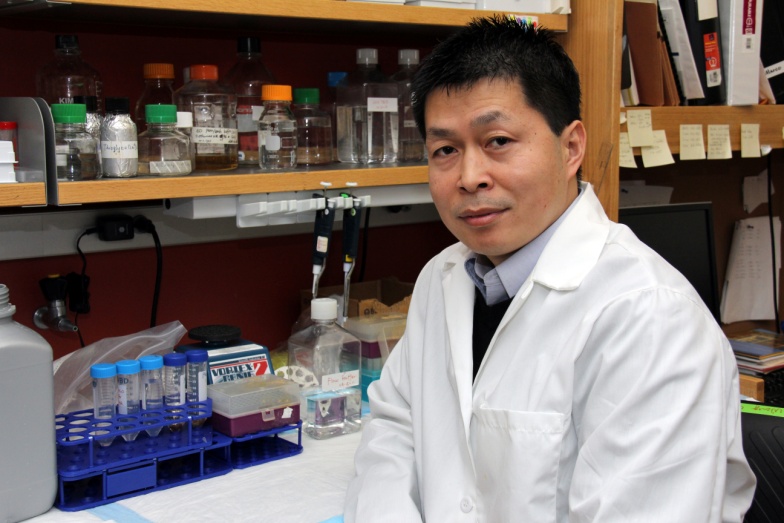 Xiang-Yang (Shawn) Wang, Ph.D.