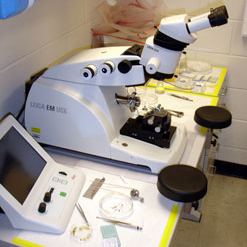 Sample Preparation image 2