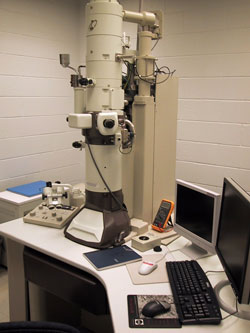 Transmission electron microscopy