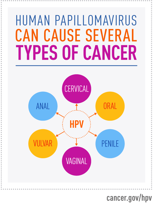 NCI HPV image