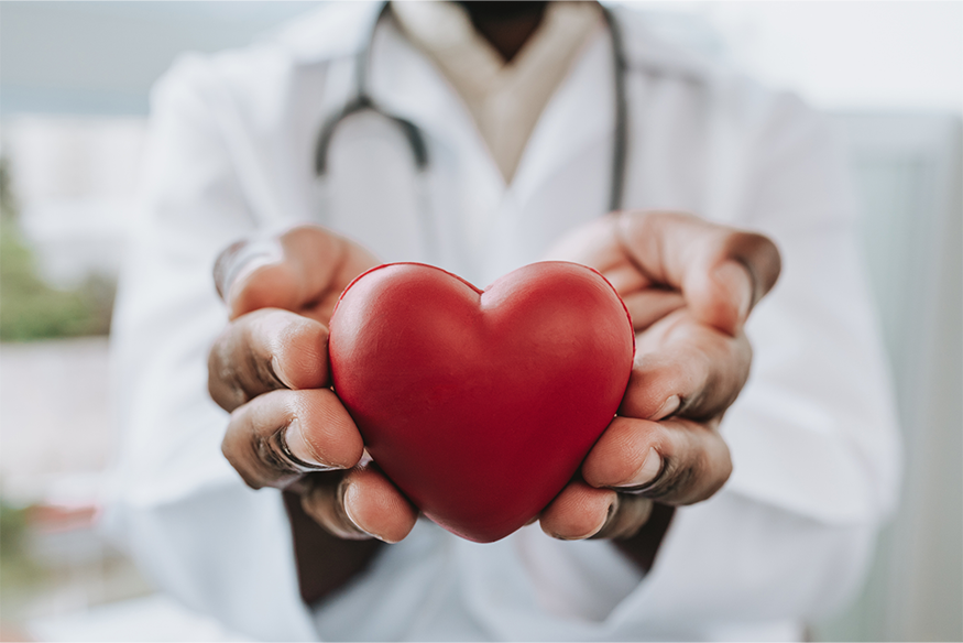 Physician in a white coat holding a heart shaped stress ball