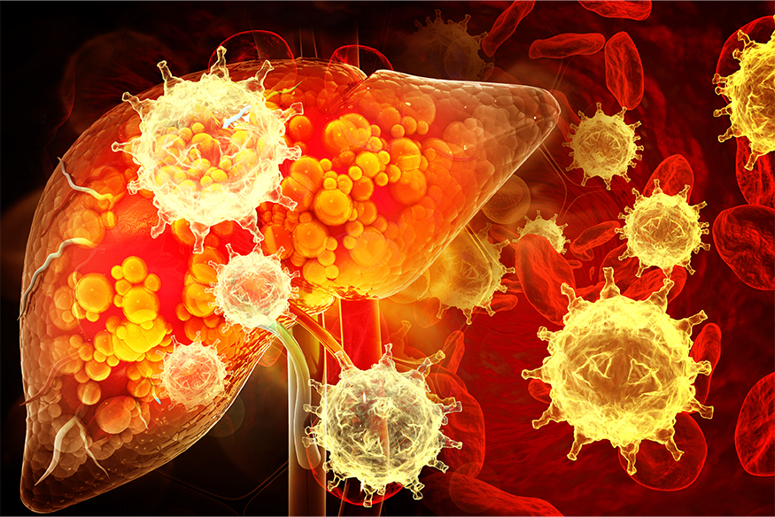 Istock illustration of liver and cells