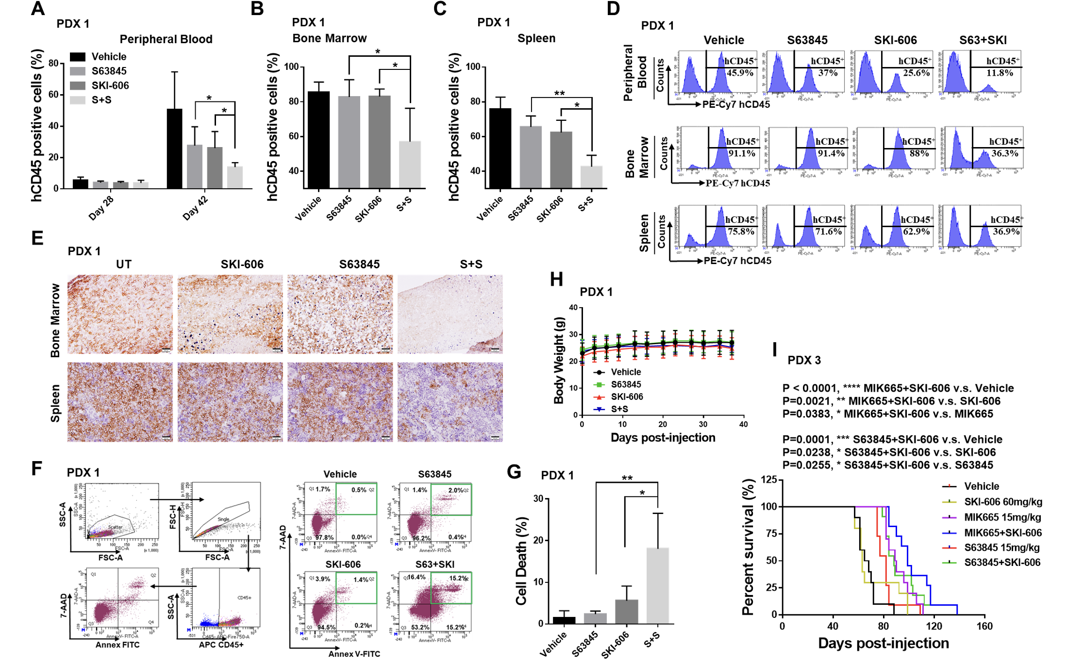 Image of research led by scientists that a class of drugs known as MCL-1 (myeloid leukemia cell-1) inhibitors interact with a type of kinase inhibitor