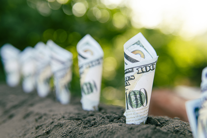 Image of bank notes rolled around plants on soil for business