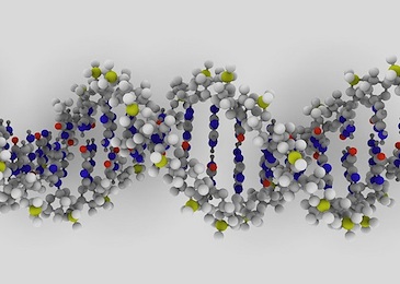 DNA