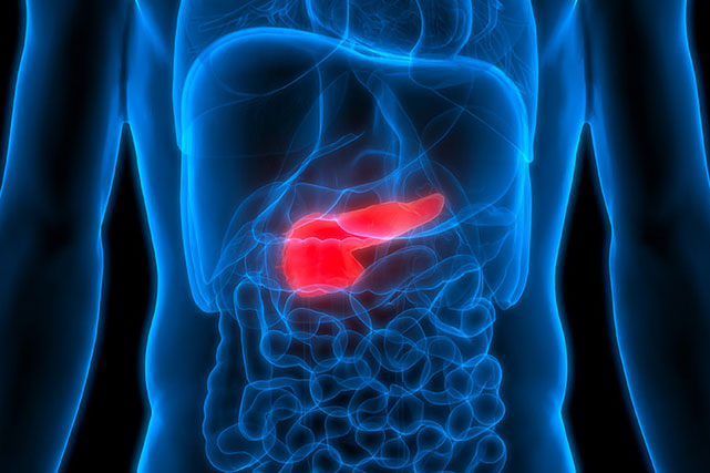 pancreatic-news